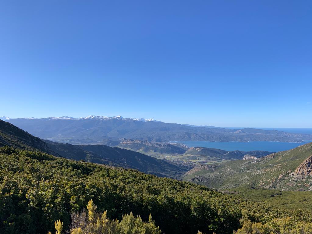 Montagne Bastia Pignu